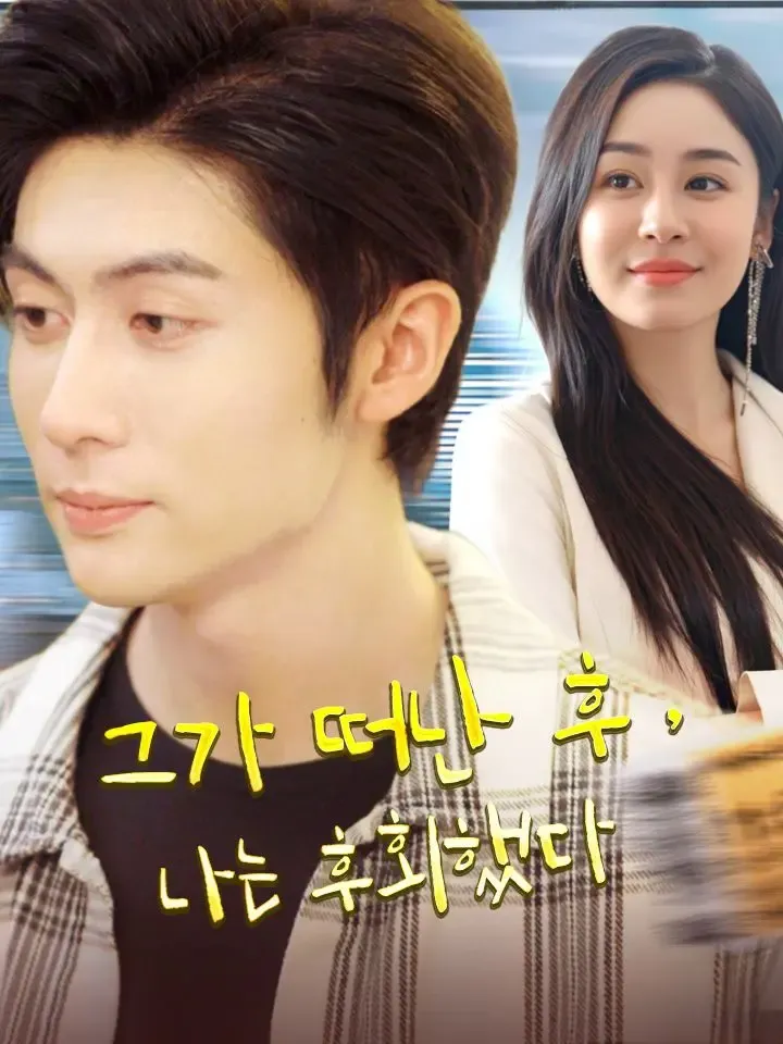 그가 떠난 후, 나는 후회했다 poster