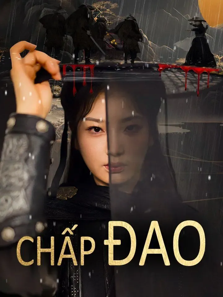Chấp đao poster
