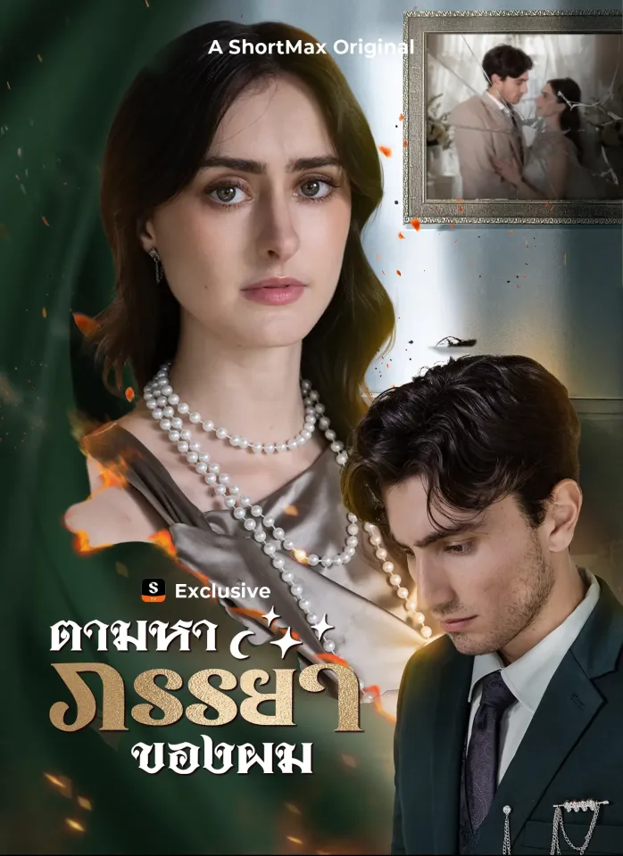[พากย์ไทย]ตามหาภรรยาของผม poster