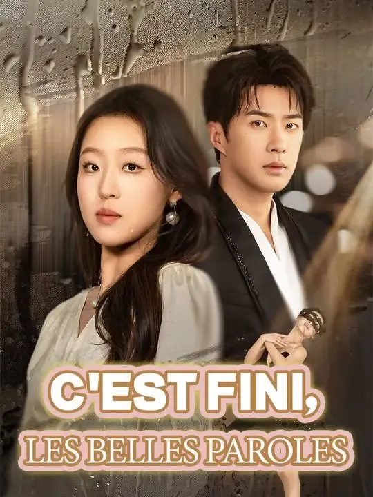 C'est fini, les belles paroles poster