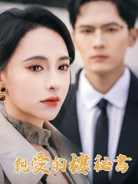 親愛的樓秘書 poster