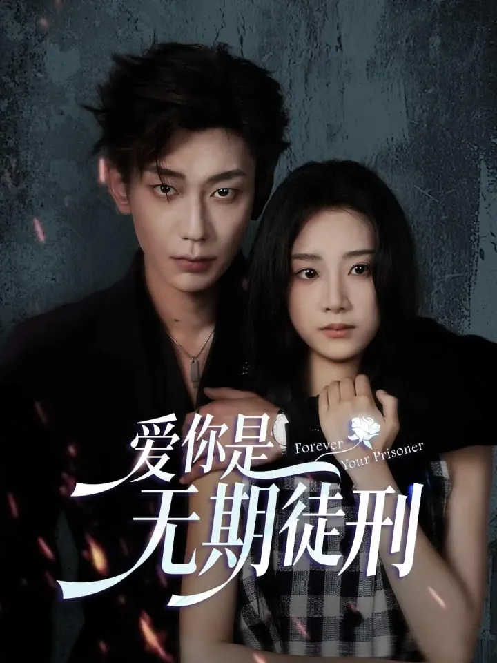 爱你是无期徒刑 poster