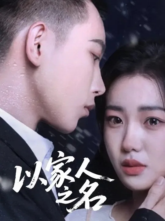 以家人之名 poster