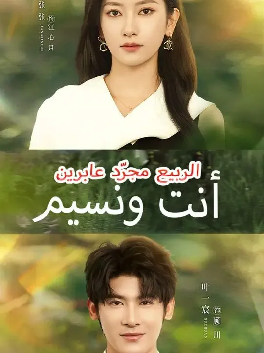 أنت ونسيم الربيع مجرّد عابرين poster