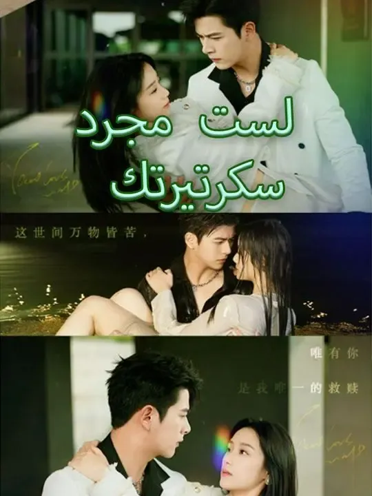 لست مجرد سكرتيرتك poster