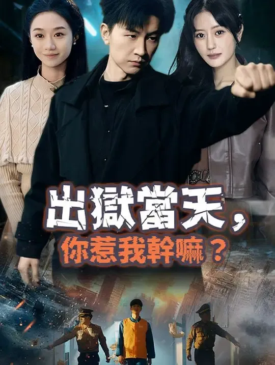 出獄當天,你惹我幹嘛? poster