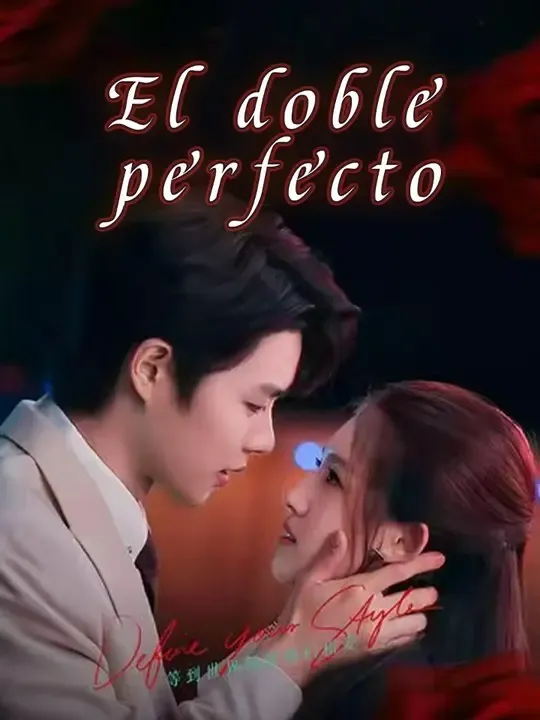 El doble perfecto poster
