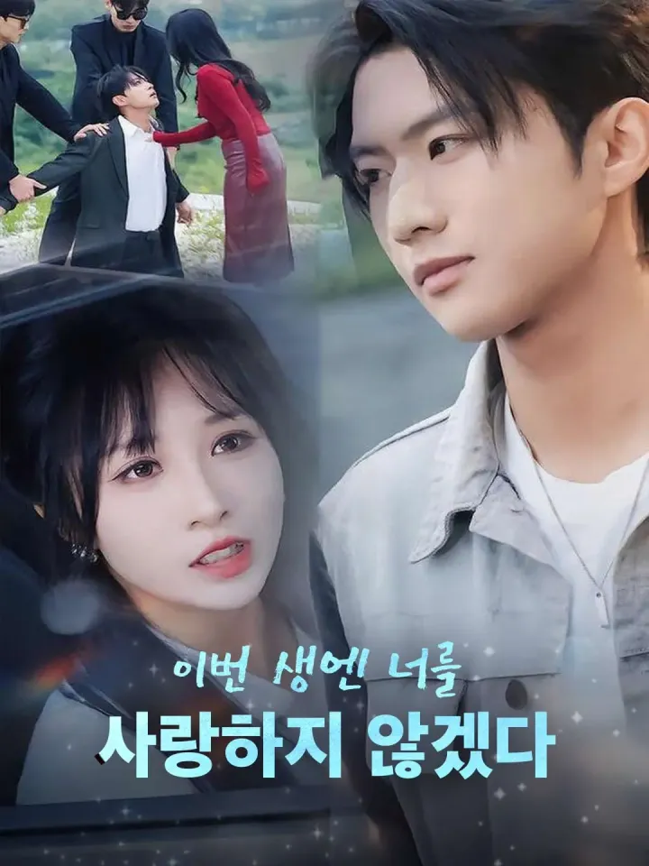 [더빙] 이번 생엔 너를 사랑하지 않겠다 poster