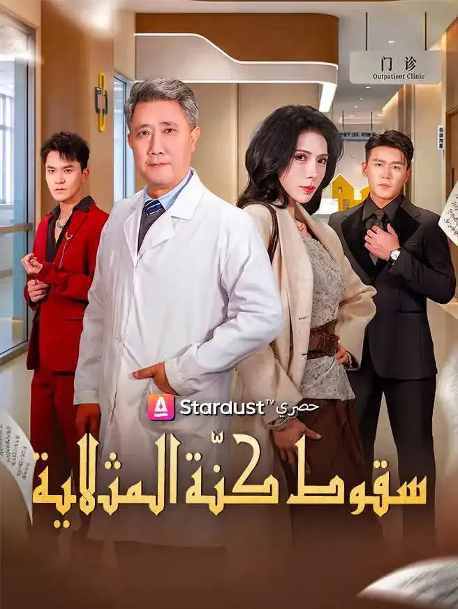 سقوط كنّة المثالية poster