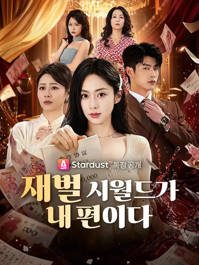 재벌 시월드가 내 편이다 poster