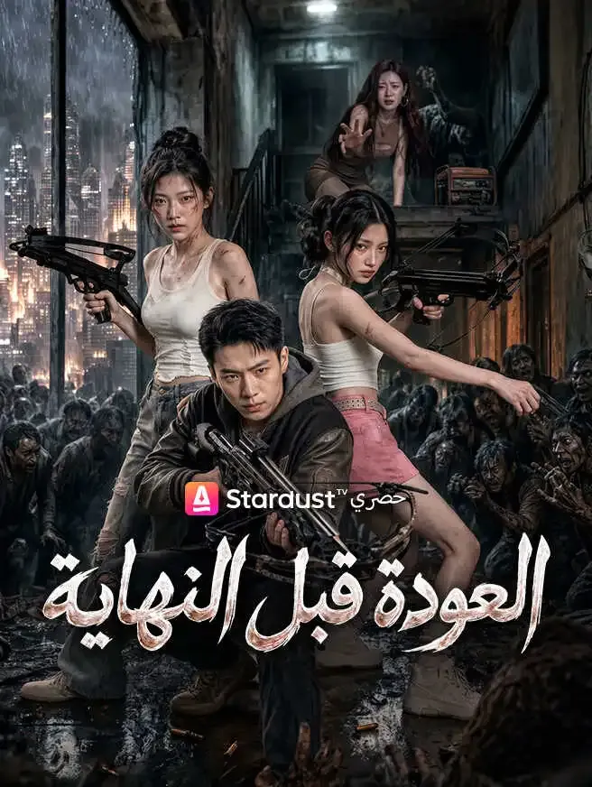 العودة قبل النهاية poster