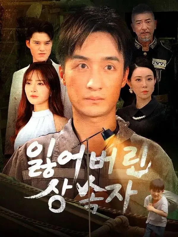 잃어버린 상속자 poster