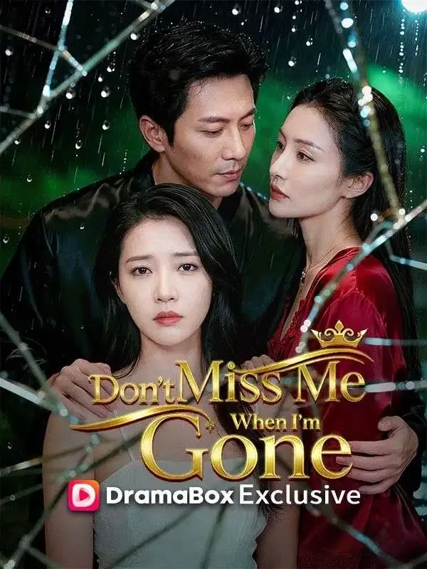 Don't Miss Me When I'm Gone poster