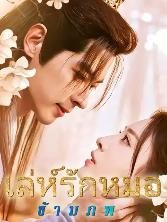เล่ห์รักหมอข้ามภพ poster