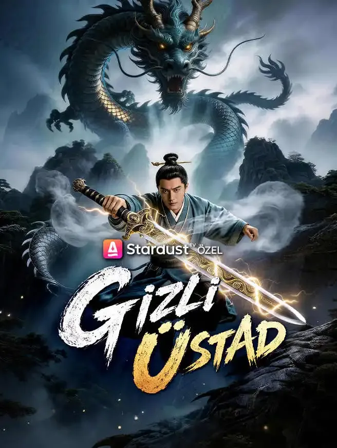 Gizli Üstad poster