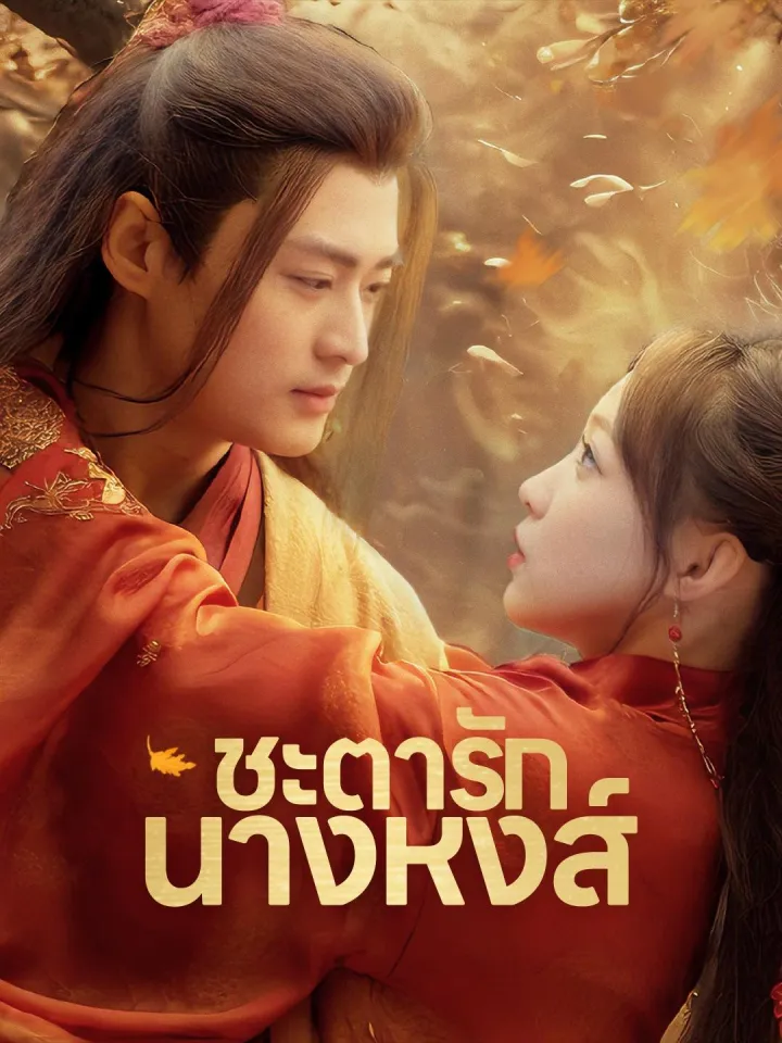 (พากย์เสียง)ชะตารักนางหงส์ poster