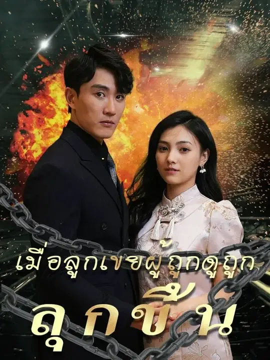 เมื่อลูกเขยผู้ถูกดูถูกลุกขึ้น poster