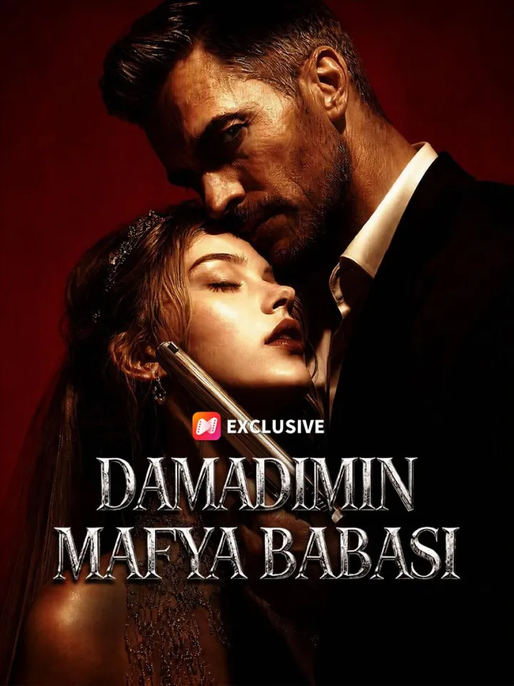 Damadımın Mafya Babası poster