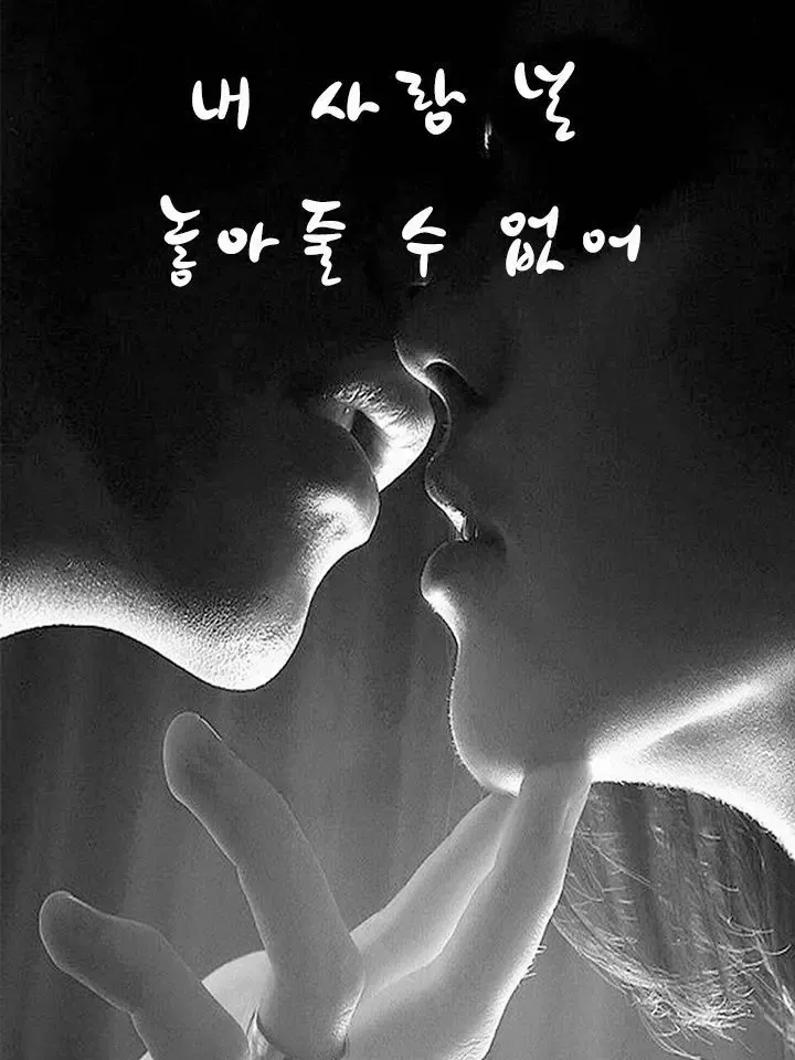 내 사랑 널 놓아줄 수 없어 poster