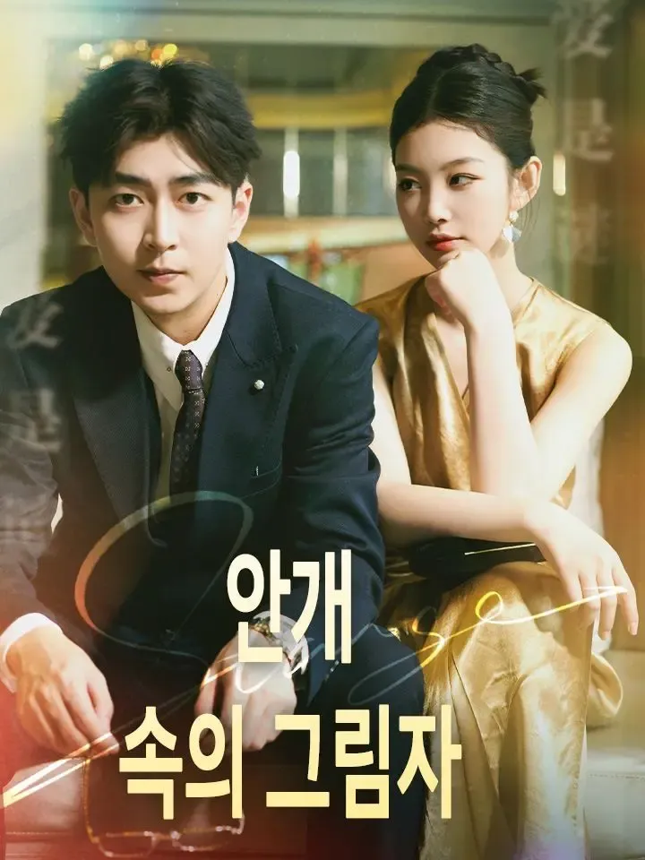 안개 속의 그림자 poster